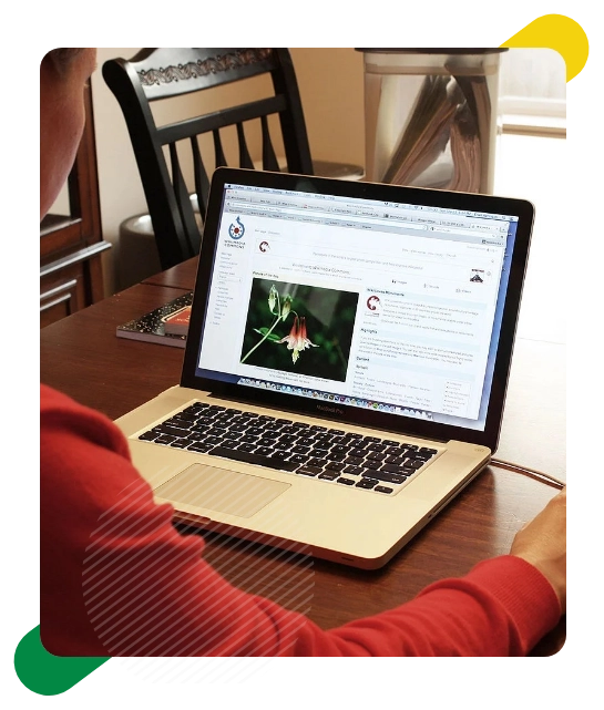 Reputation Management Services